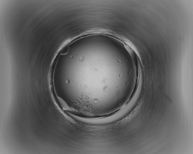 X0000116280997200912071146