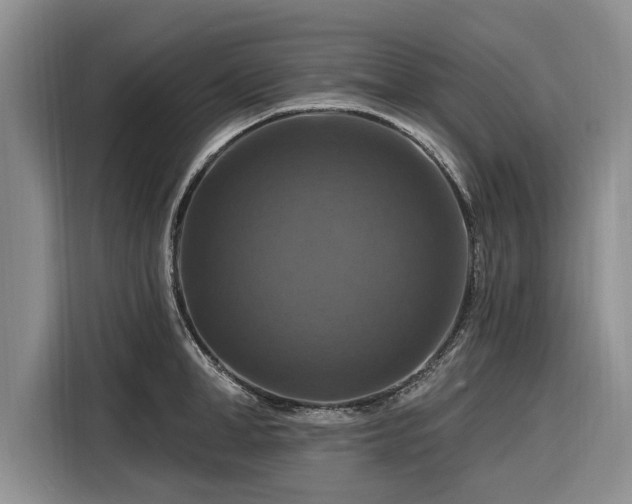X0000116280998200912071146