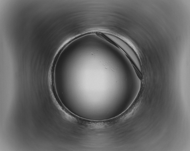X0000116280999200912071146