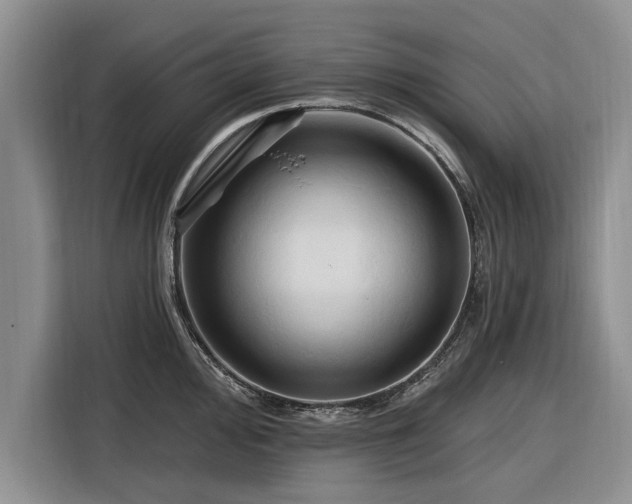 X0000116281000200912071146