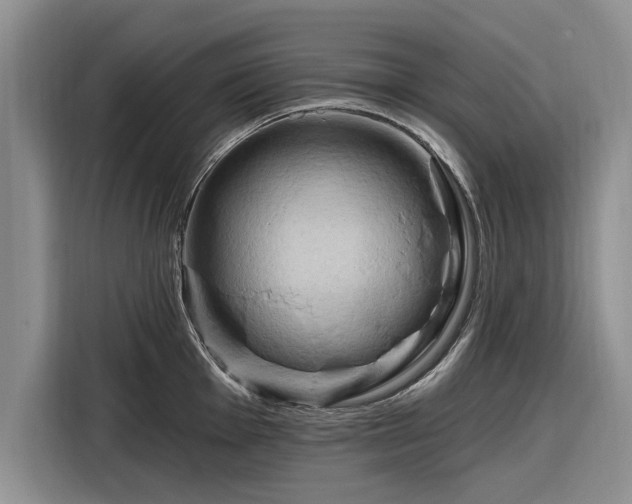 X0000116281001200912071146