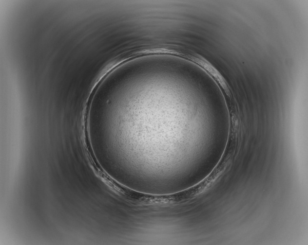 X0000116281002200912071146