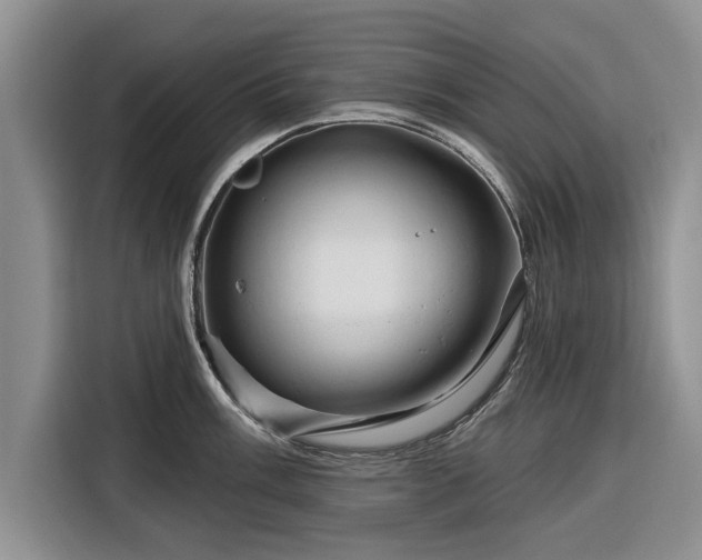 X0000116281003200912071146