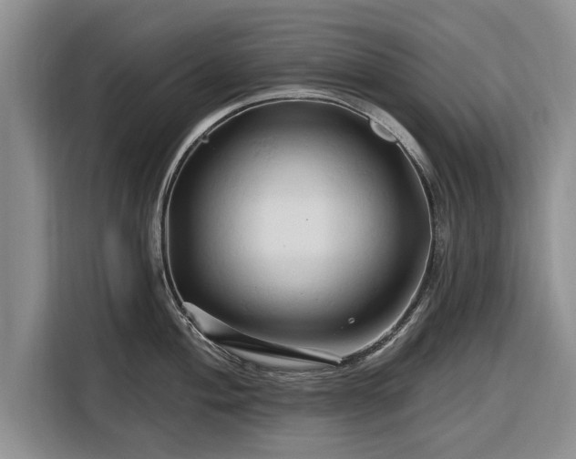 X0000116281004200912071146