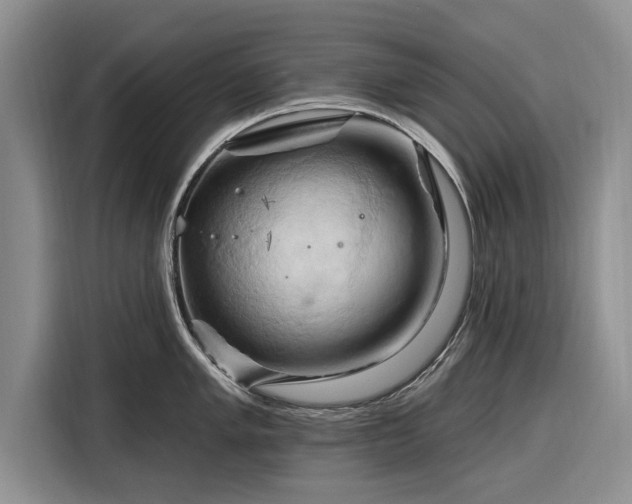 X0000116281005200912071146