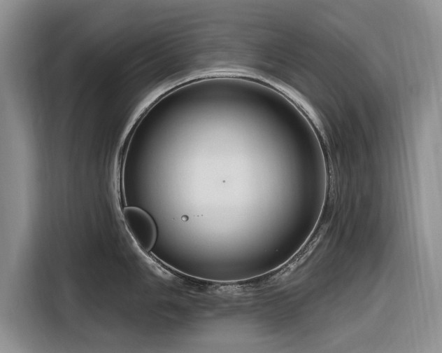 X0000116281006200912071146