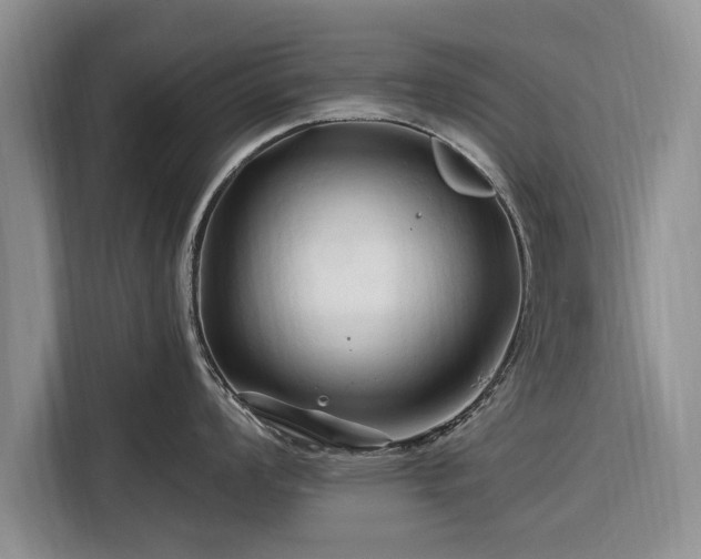 X0000116281008200912071146