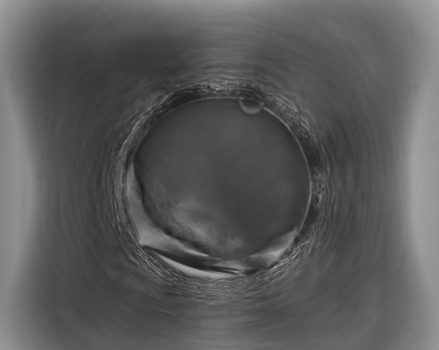 X0000116281009200912071146