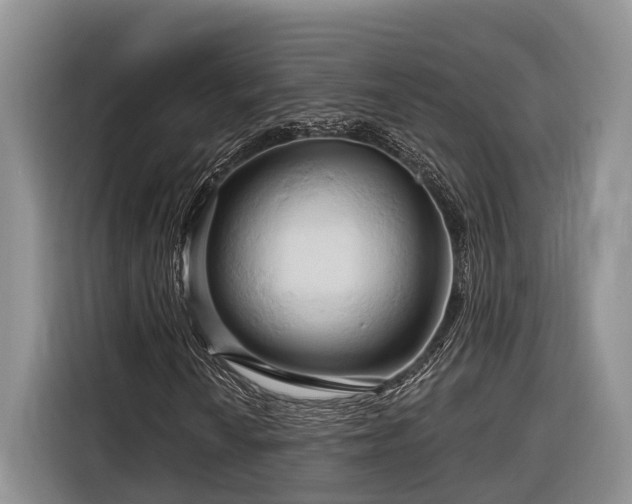 X0000116281010200912071146