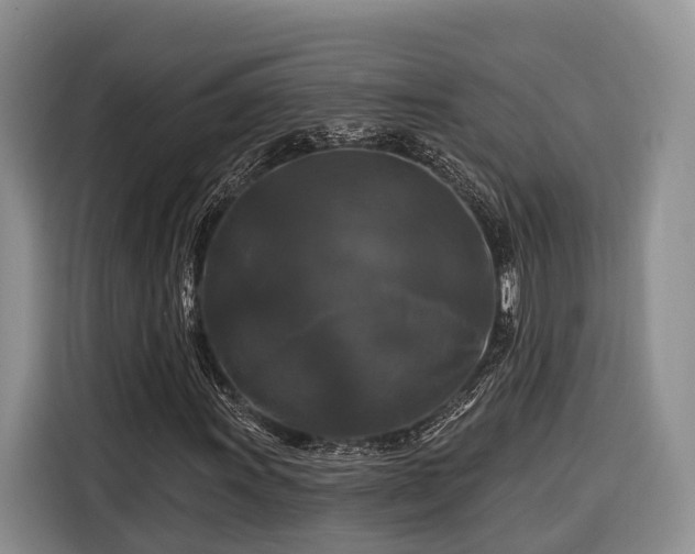 X0000116281011200912071146