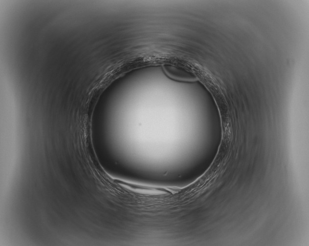 X0000116281012200912071146