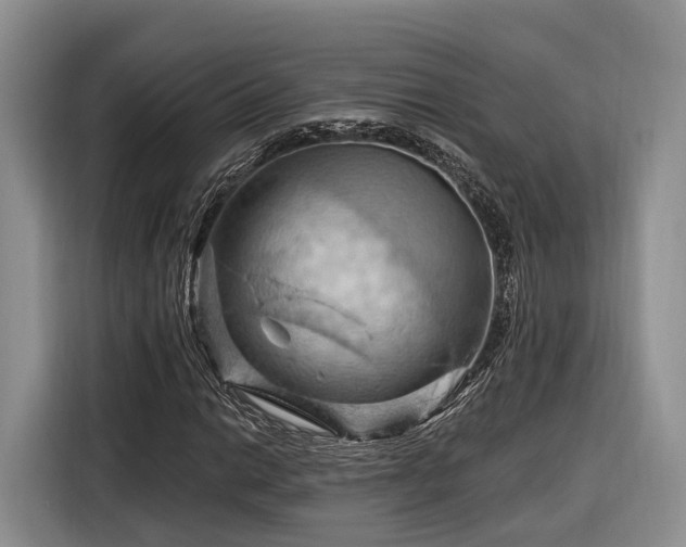X0000116281014200912071146