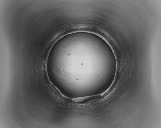 X0000116281017200912071146