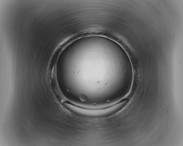 X0000116281018200912071146
