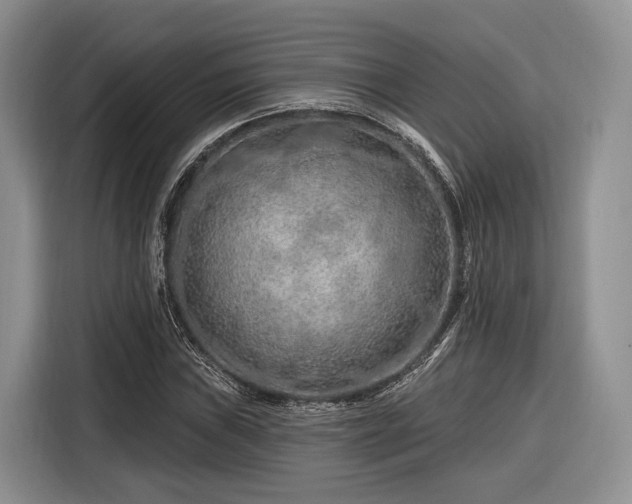 X0000116281019200912071146