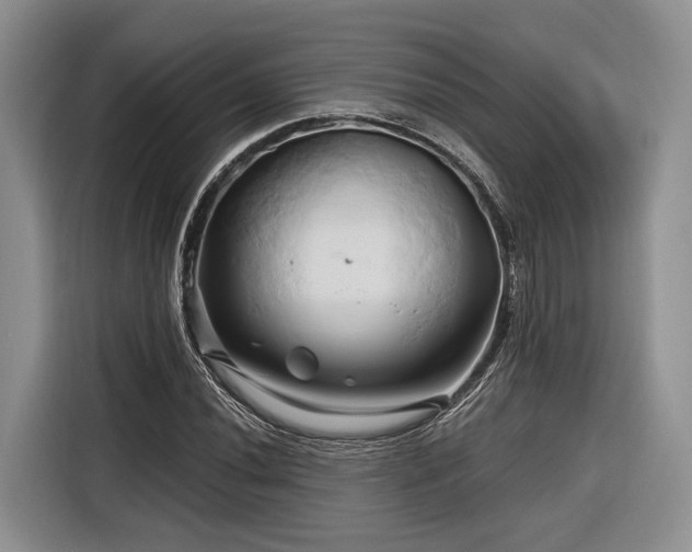 X0000116281020200912071146