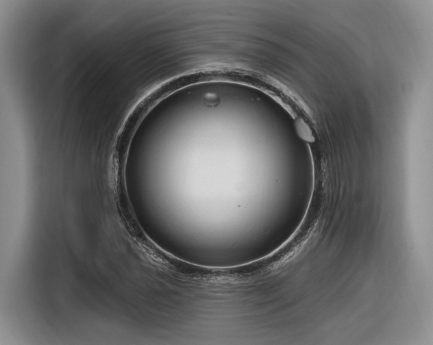 X0000116281021200912071146