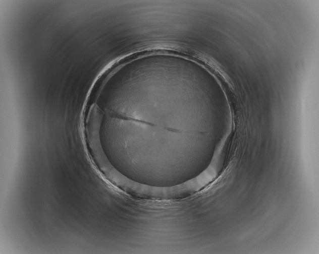 X0000116281024200912071146