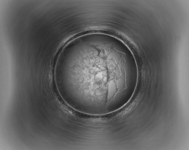 X0000116281025200912071146