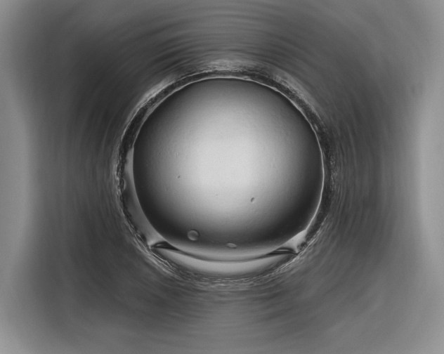 X0000116281026200912071146