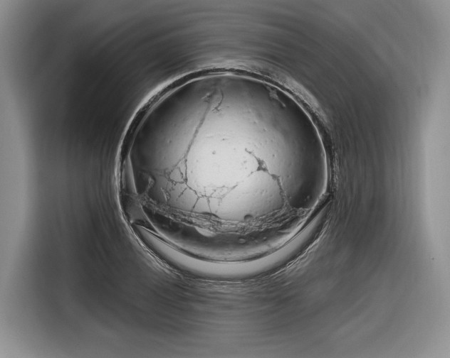 X0000116281028200912071146