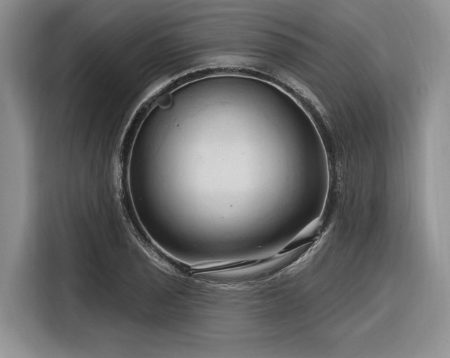 X0000116281029200912071146