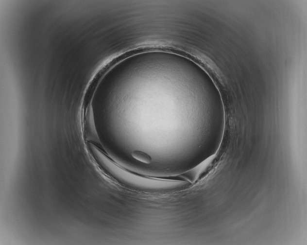 X0000116281030200912071146