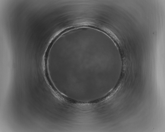 X0000116281031200912071146