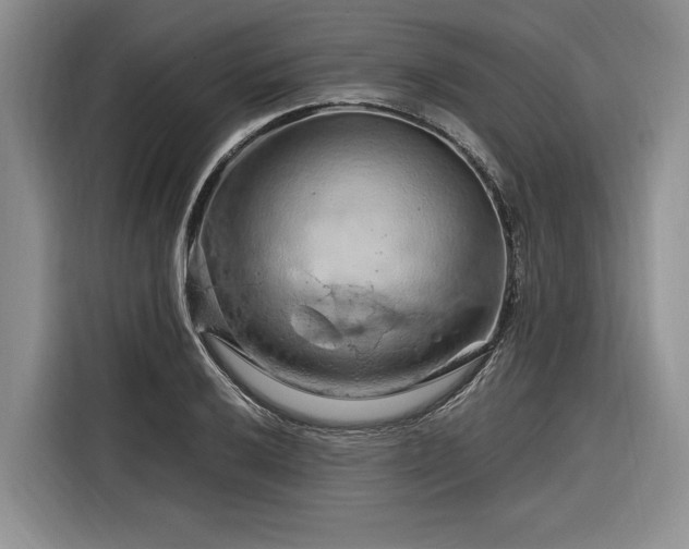 X0000116281032200912071146