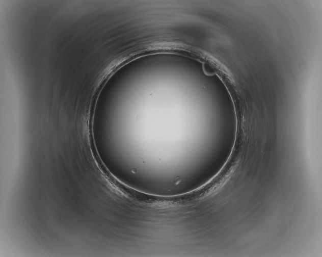 X0000116281033200912071146
