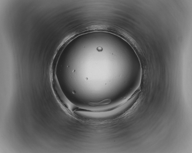 X0000116281034200912071146