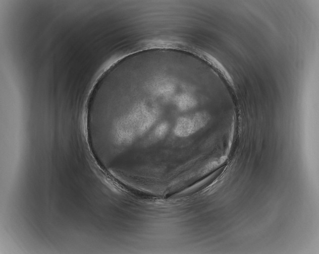 X0000116281035200912071146