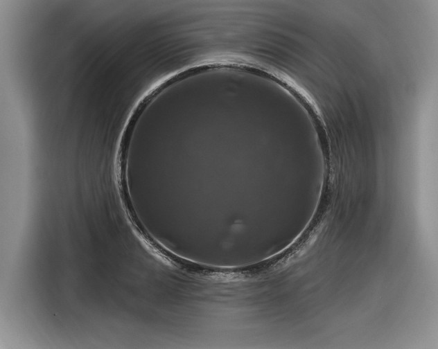 X0000116281037200912071146