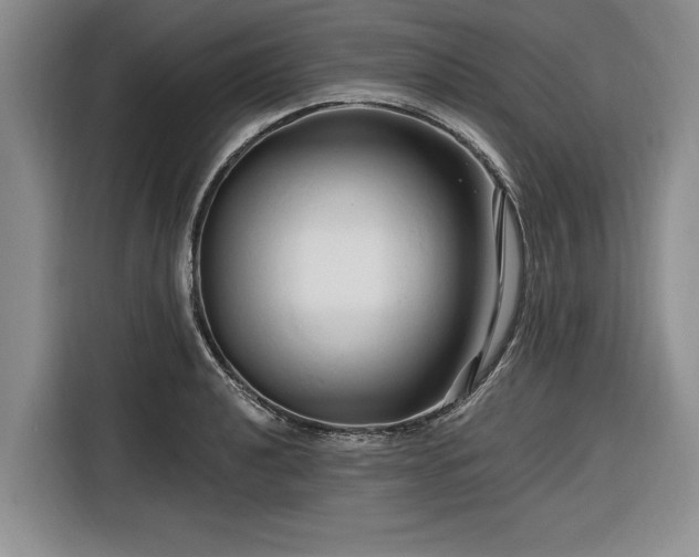 X0000116281040200912071146
