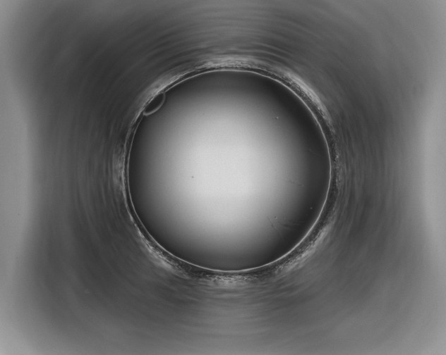 X0000116281041200912071146