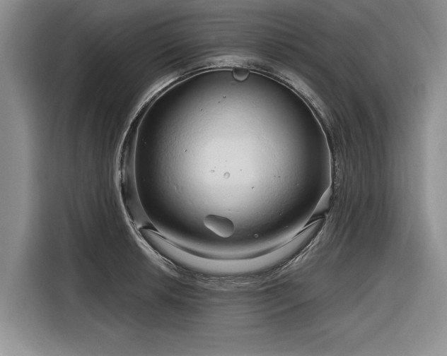 X0000116281042200912071146