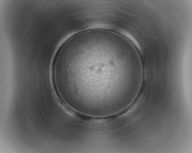 X0000116281043200912071146