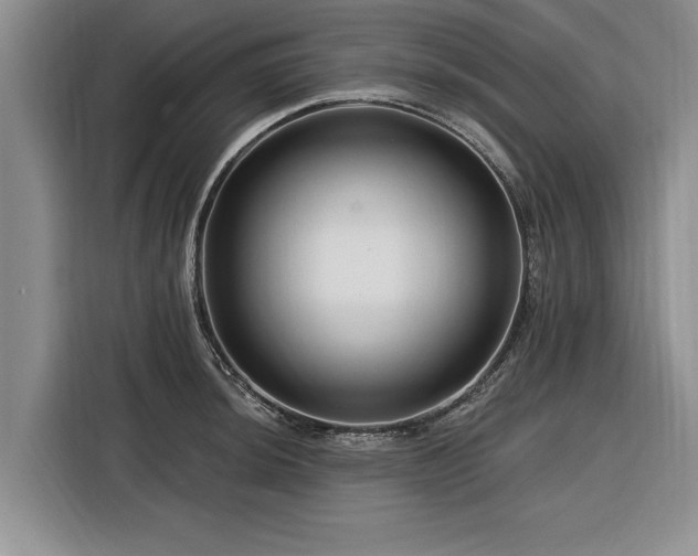 X0000116281044200912071146