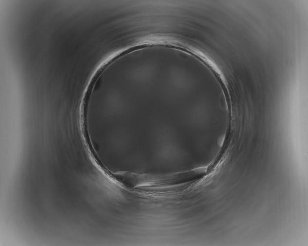 X0000116281045200912071146