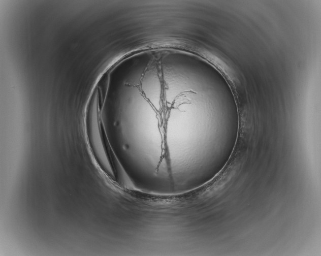 X0000116281047200912071146