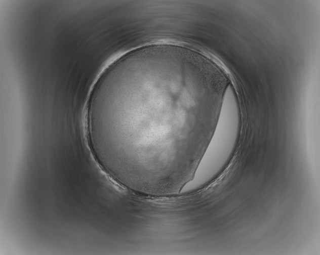 X0000116281048200912071146
