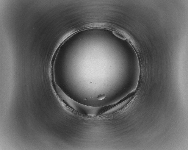 X0000116281050200912071146