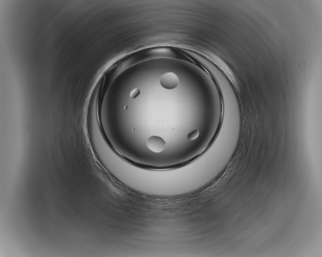 X0000116281051200912071146