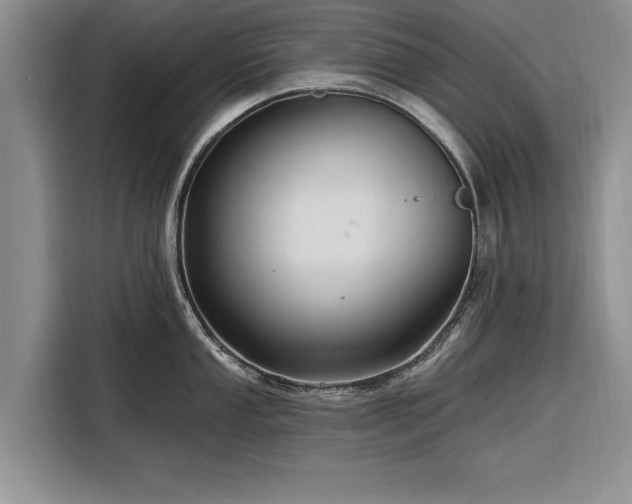X0000116281053200912071146