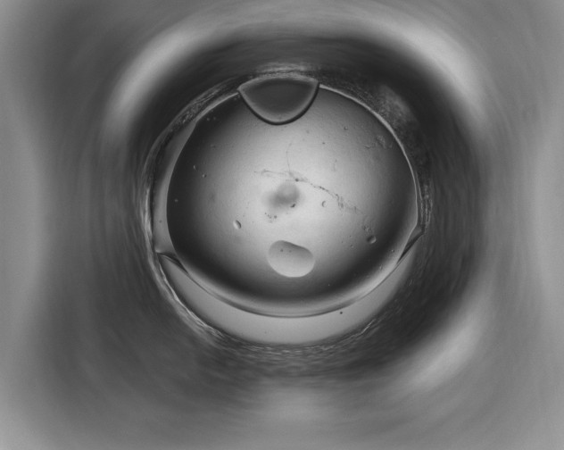 X0000116281054200912071146