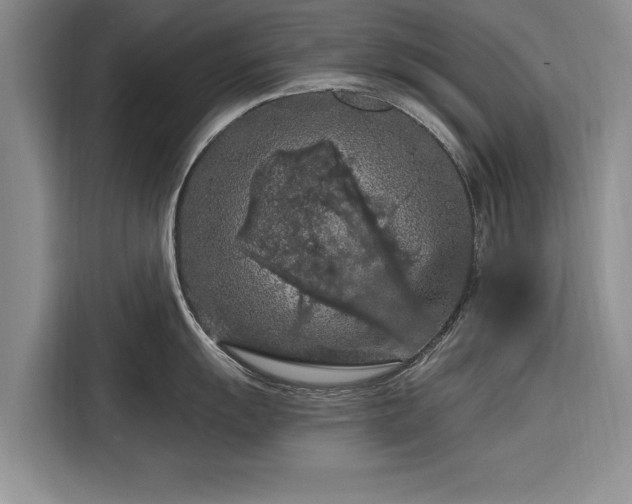 X0000116281055200912071146