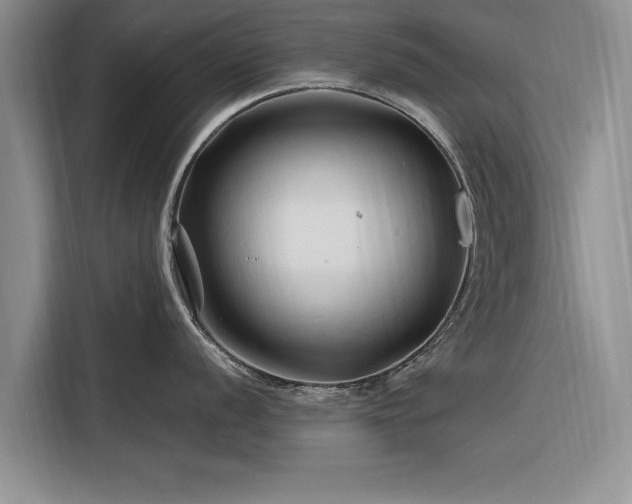 X0000116281056200912071146