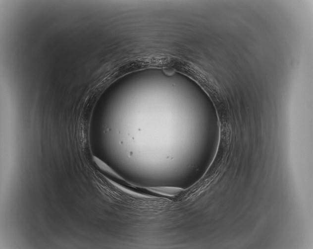 X0000116281058200912071146