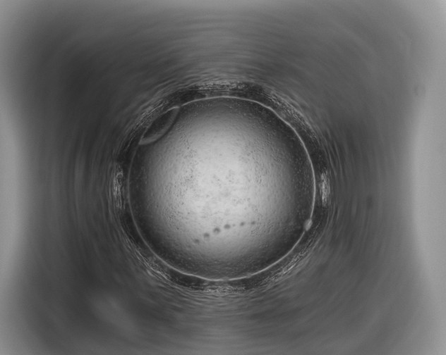 X0000116281059200912071146