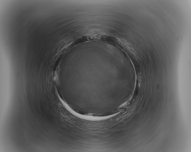 X0000116281060200912071146